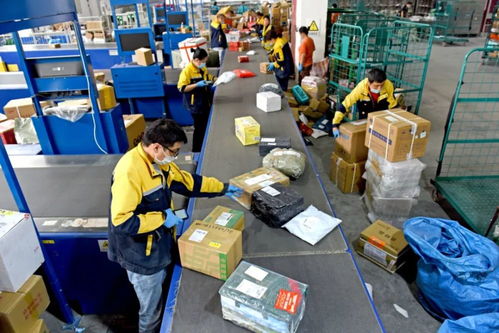 23条政策举措出台 优化互联网接入及相关服务，促进行业高质量发展